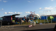 P1090486 (2)