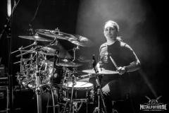 Phoenix-28
