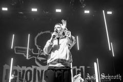Revolverheld-10