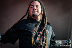 P.O.D.-14