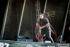P.O.D.-17