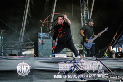 P.O.D.-25