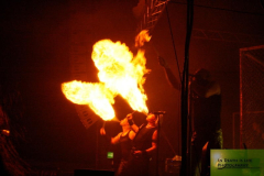 SubTSally300414-Alx (80) (2)