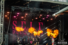 Self-Deception-12