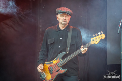 Social-Distortion-6