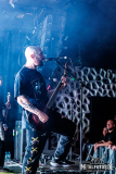 Sylosis-3