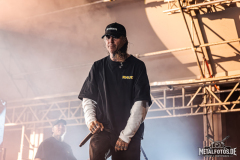 The-Amity-Affliction-02