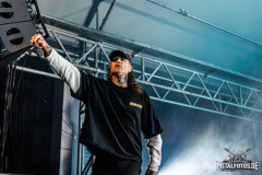 The-Amity-Affliction-07