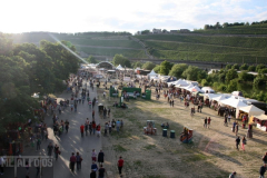 UD14-SO-DJ (7) (2)