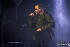 Varg-15