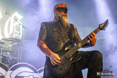 Varg-31