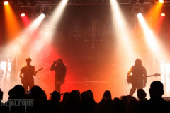 Varg201114-DJ (163) (2)