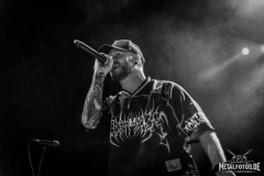 We-Came-As-Romans-18