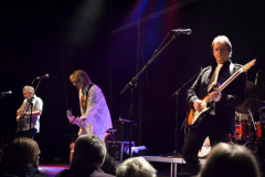 WishboneAsh231013-FH (21) (2)