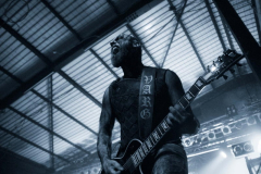 varg13 (2)