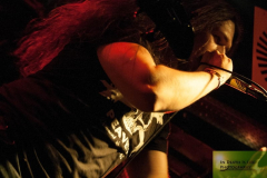 1AWK150314-ALX (15) (2)